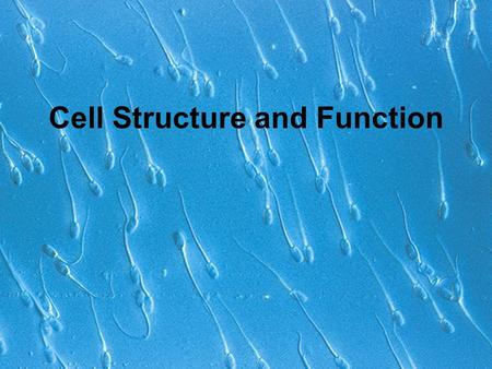 Cell Structure and Function. Agre and cells in the news.