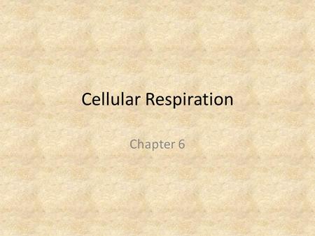 Cellular Respiration Chapter 6. Autotrophs Autotrophs are organisms that can use basic energy sources (i.e. sunlight) to make energy containing organic.