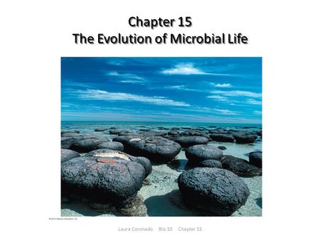 Chapter 15 The Evolution of Microbial Life Laura Coronado Bio 10 Chapter 15.