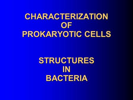CHARACTERIZATION OF PROKARYOTIC CELLS STRUCTURES IN BACTERIA