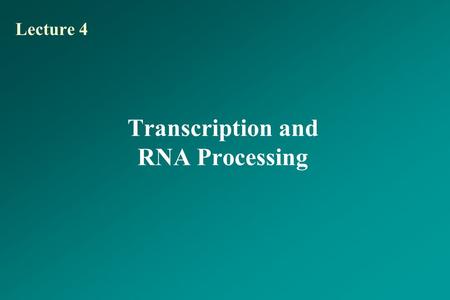 Transcription and RNA Processing