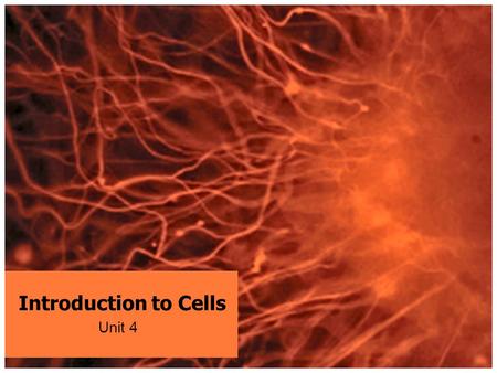 Introduction to Cells Unit 4. PRE-WARM UP: Start a new Table of Contents – “Life Science – Molecular Biology” Write your homework – leave it to be stamped.
