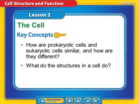The Cell How are prokaryotic cells and eukaryotic cells similar, and how are they different? What do the structures in a cell do? Lesson 2 Reading Guide.
