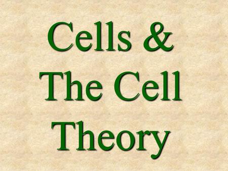 Cells & The Cell Theory.