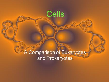Cells A Comparison of Eukaryotes and Prokaryotes.