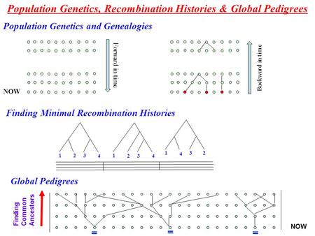 Population Genetics, Recombination Histories & Global Pedigrees Finding Minimal Recombination Histories 1 23 4 1 23 4 1 2 3 4 Global Pedigrees Finding.
