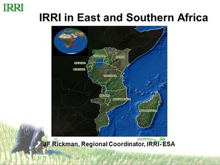 ESA IRRI in East and Southern Africa JF Rickman, Regional Coordinator, IRRI- ESA.