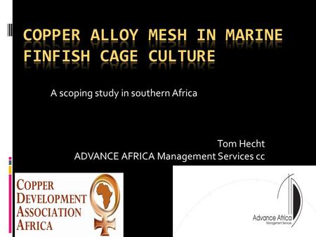 A scoping study in southern Africa Tom Hecht ADVANCE AFRICA Management Services cc.