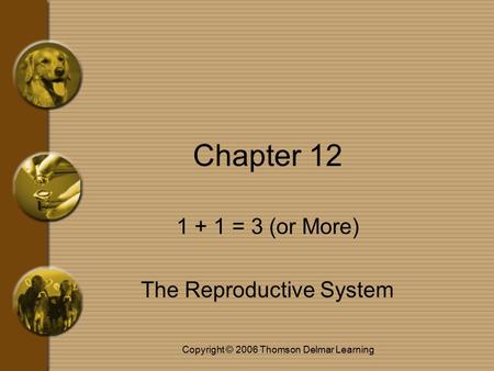 Copyright © 2006 Thomson Delmar Learning Chapter 12 1 + 1 = 3 (or More) The Reproductive System.