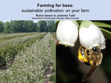 Farming for bees: sustainable pollination on your farm Rufus Isaacs & Julianna Tuell Department of Entomology, Michigan State University.