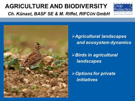 1 AGRICULTURE AND BIODIVERSITY Ch. Künast, BASF SE & M. Riffel, RIFC ON GmbH  Agricultural landscapes and ecosystem dynamics  Birds in agricultural landscapes.