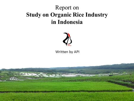 Report on Study on Organic Rice Industry in Indonesia Written by API.