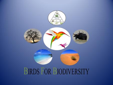 Birds : The Feathered Bipad BIRDS FOR BIODIVERSITY.