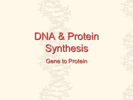 DNA & Protein Synthesis Gene to Protein. Nucleic Acids and Protein Synthesis All functions of a cell are directed from some central form of information.All.