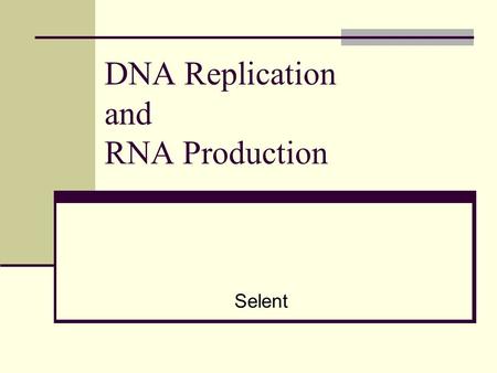 DNA Replication and RNA Production Selent. Replication The process of copying DNA The two chains of nucleotides separate by unwinding and act as templates.