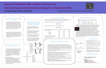 Applications to Bioinformatics Bioinformatics is essential to the study of palindromic DNA sequences. First and foremost, bioinformatics, specifically.