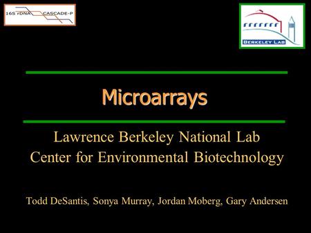 Lawrence Berkeley National Lab Center for Environmental Biotechnology Todd DeSantis, Sonya Murray, Jordan Moberg, Gary Andersen Microarrays.