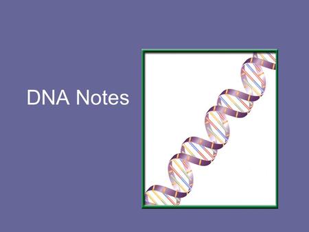 DNA Notes.
