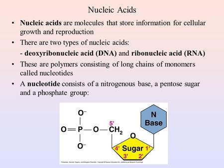 Nucleic Acids Nucleic acids are molecules that store information for cellular growth and reproduction There are two types of nucleic acids: - deoxyribonucleic.