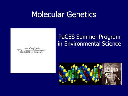 Molecular Genetics PaCES Summer Program in Environmental Science.