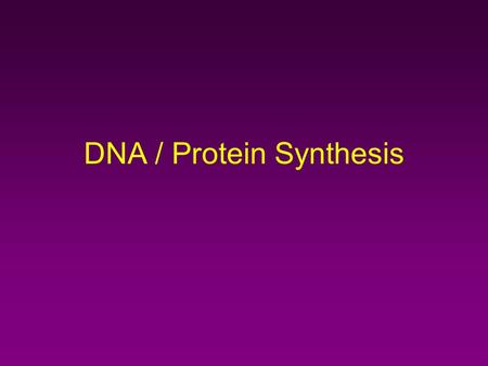 DNA / Protein Synthesis