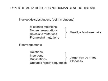 TYPES OF MUTATION CAUSING HUMAN GENETIC DISEASE Nucleotide substitutions (point mutations) Missense mutations Nonsense mutations Spice site mutations Frame.