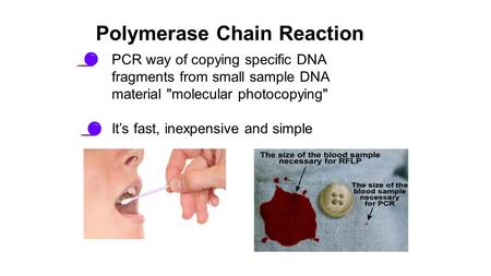 PCR way of copying specific DNA fragments from small sample DNA material molecular photocopying It’s fast, inexpensive and simple Polymerase Chain Reaction.