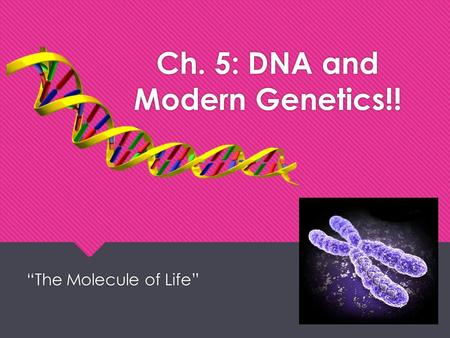 Ch. 5: DNA and Modern Genetics!!