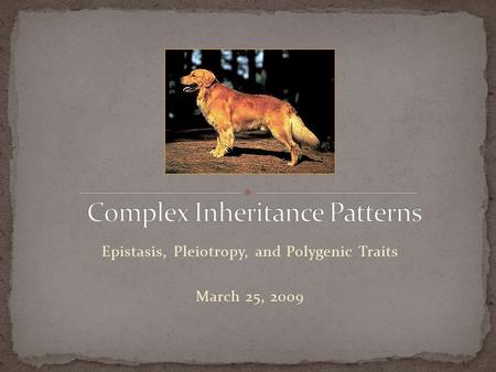 Epistasis, Pleiotropy, and Polygenic Traits March 25, 2009.
