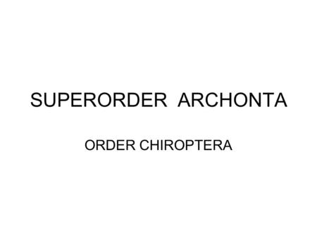 SUPERORDER ARCHONTA ORDER CHIROPTERA. Superorder Archonta Order Chiroptera Suborder Megachiroptera Family Pteropodidae.