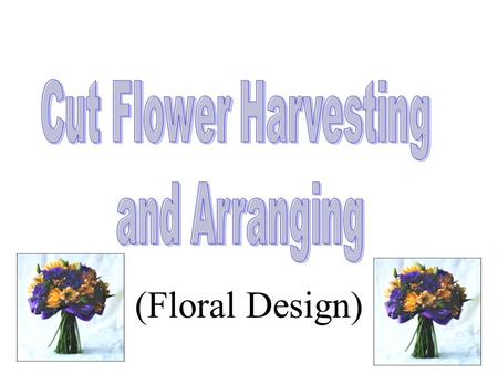 (Floral Design). Shape color light texture Shape: inflorescence shapes.