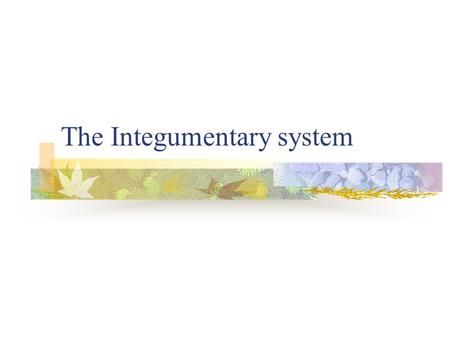 The Integumentary system. Skin Skin is regarded as our largest organ. It covers about 2 square metres in a tall person and about 1.5 square metres in.