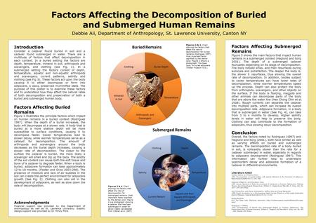 Factors Affecting the Decomposition of Buried