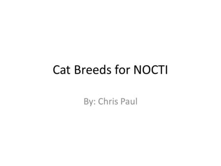Cat Breeds for NOCTI By: Chris Paul. Abyssinian Today's Abyssinian retains a resemblance to the noble cats depicted in ancient Egyptian statues. The breed.