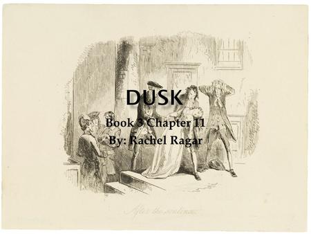 Book 3 Chapter 11 By: Rachel Ragar.  The definition of dusk is “the darker stage of twilight”  one of the darker chapters of the book.