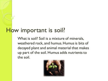 How important is soil? What is soil? Soil is a mixture of minerals, weathered rock, and humus. Humus is bits of decayed plant and animal material that.