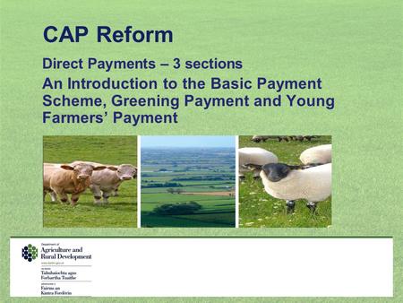 CAP Reform Direct Payments – 3 sections