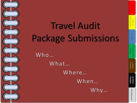 Travel Audit Package Submissions