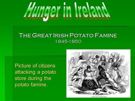 The Great Irish Potato Famine 1845-1850 Picture of citizens attacking a potato store during the potato famine.
