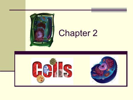 Chapter 2 Cells.