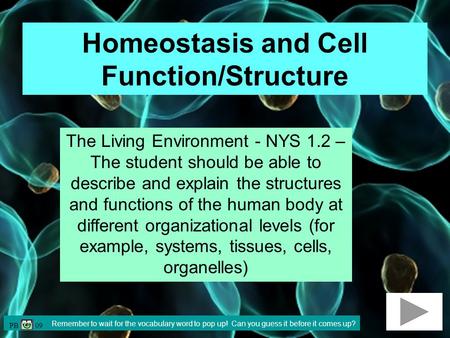Homeostasis and Cell Function/Structure Remember to wait for the vocabulary word to pop up! Can you guess it before it comes up? The Living Environment.