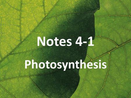 Notes 4-1 Photosynthesis. Sources of Energy Nearly all living things obtain energy either directly or indirectly from the energy of sunlight captured.