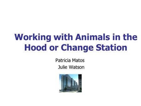 Working with Animals in the Hood or Change Station Patricia Matos Julie Watson.