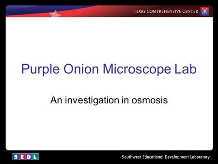 Purple Onion Microscope Lab An investigation in osmosis.