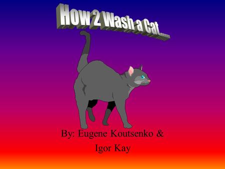 By: Eugene Koutsenko & Igor Kay Introduction Some people say cats never have to be bathed. They say cats lick themselves clean. They say cats have a.