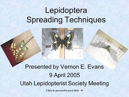 Click to proceed to next slide  Lepidoptera Spreading Techniques Presented by Vernon E. Evans 9 April 2005 Utah Lepidopterist Society Meeting.