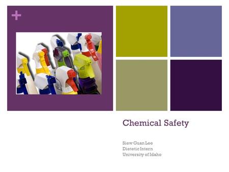+ Chemical Safety Siew Guan Lee Dietetic Intern University of Idaho.