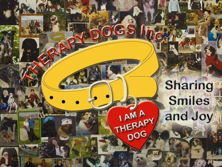 Therapy Dogs Inc. Prospective Member Presentation 2015 ©1.
