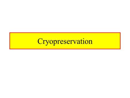 Cryopreservation.