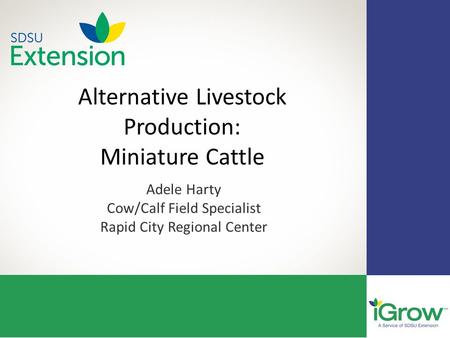 Alternative Livestock Production: Miniature Cattle Adele Harty Cow/Calf Field Specialist Rapid City Regional Center.